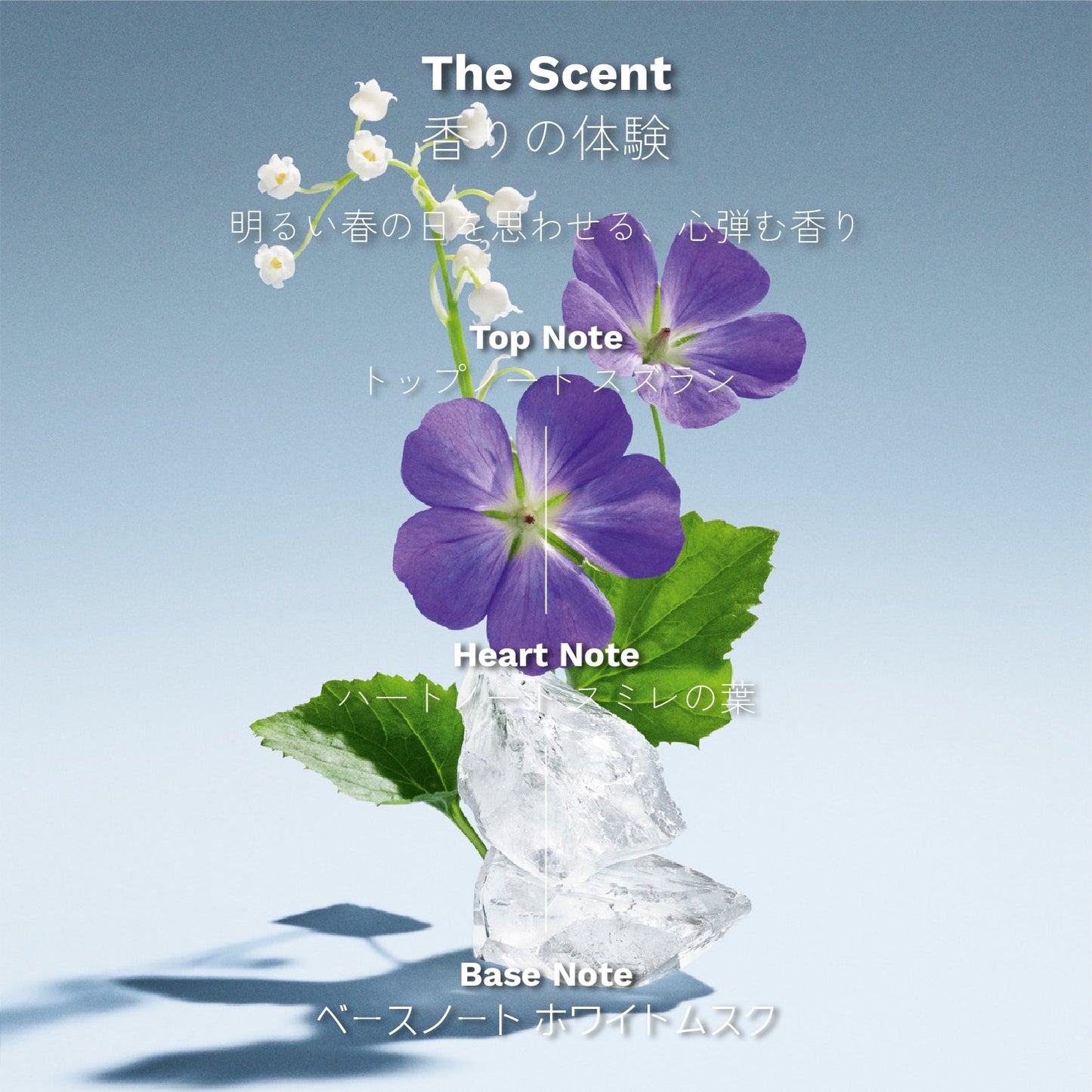 ミュウミュウ L'Eau Bleue オードパルファム 30ml